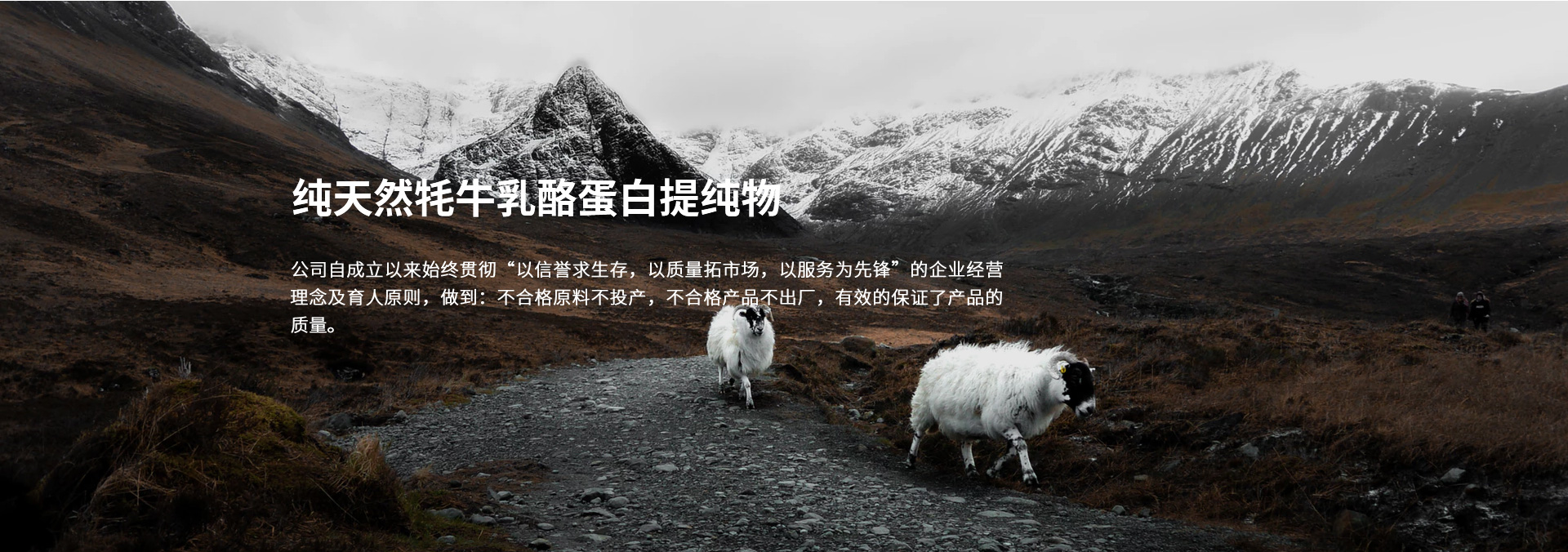 首頁(yè)banner2