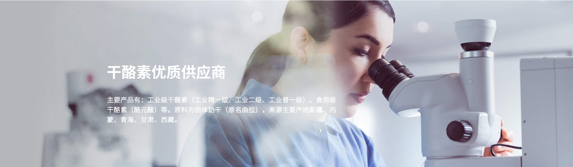 內(nèi)頁banner