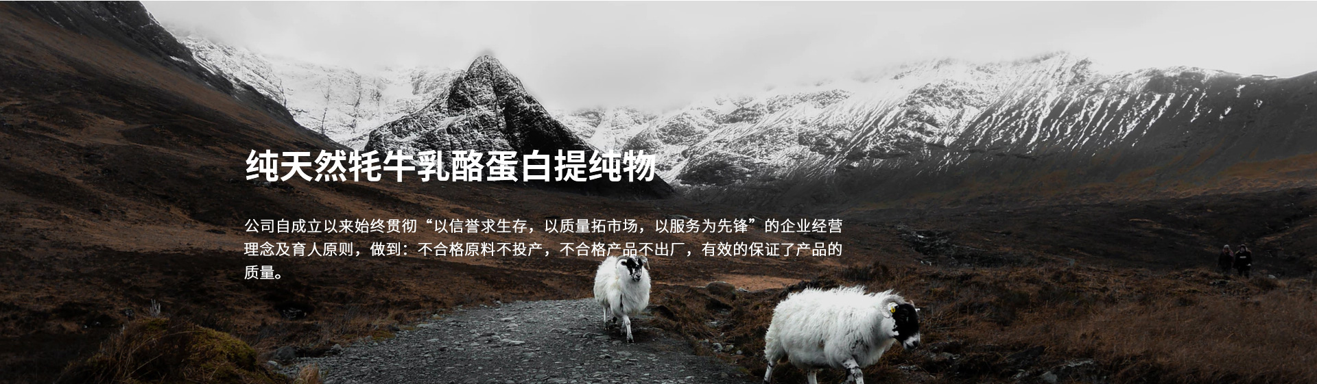 內(nèi)頁banner2
